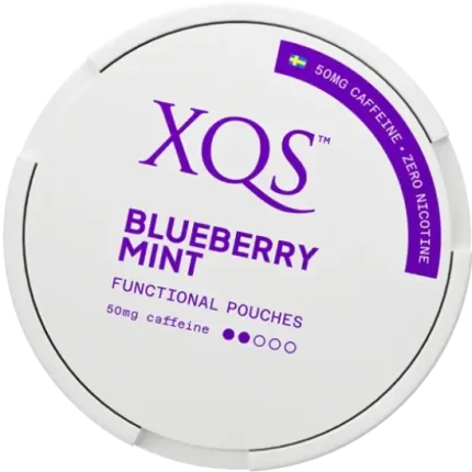 XQS Blueberry Mint Nikotinfri